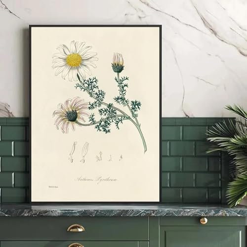 GOSRD Vintage Botanischer Farn Ästhetische Blumenpflanzen Retro Poster Leinwand Malerei Wandkunst Bilder Home Interior Decor 27,5 x39,4(70x100cm) Kein Rahmen