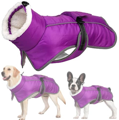 RUYICZB Wasserdichter Hundemantel, Winter Warme Hundejacke Hundebekleidung Für Kleine Mittel Große Hunde Hundepullover Mit Sicheren Reflexstreifen Für Labrador Chihuahua,Lila,XL