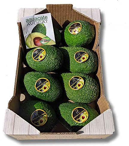 Aguacate Hass Origen Internacional Pack 2 kg - Aguacates Frescos Seleccionados - Ideales para Guacamole, Tostadas, Ensaladas y Recetas Saludables