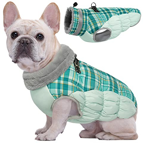 Kuoser Winter Hundejacke für Mittelgroße Hunde Wasserdicht Winddicht, M | Wasserdichter Winddichter Hundemantel mit Reißverschluss, D-Ring & Reflektoren, Warme Hundebekleidung für Herbst & Winter
