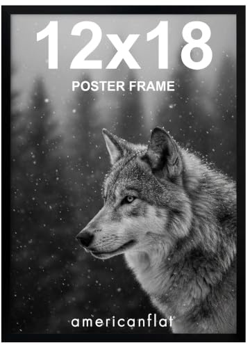 Americanflat 12x18 Poster Frame with Polished Plexiglass - Streamline Collection - Thin Border Picture Frame for Wall Display - Hanging Hardware Included - Black