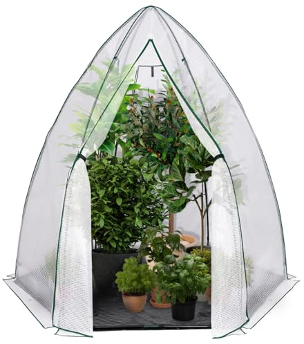 IDMarket - Serre d'hivernage dôme Maxi Format 250 x 250 x 200 cm Balcon et terrasse