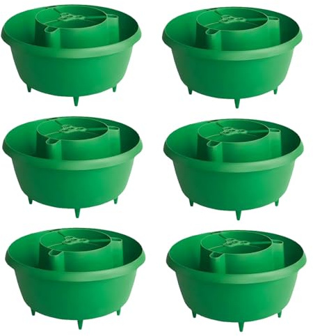 HOMION Plant Halo Watering Ring for Tomatoes Self Watering Irrigation Planter System Tomato Grow Ring & Root Watering Device for Garden Pots Raised Beds & Greenhouse Vegetables (6, GREEN)