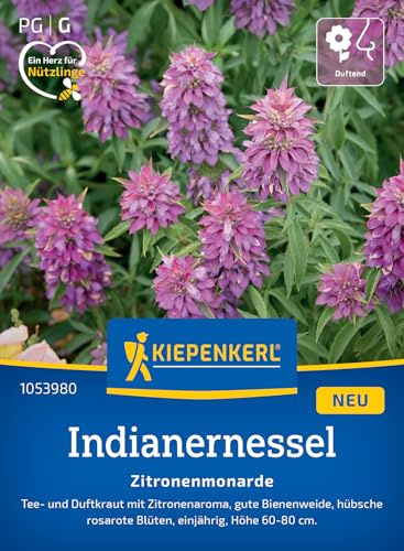 Kiepenkerl Indianernesselsamen Zitronenmonarde 1053980, Kräutersaat | Intensiver Zitronenduft, Lockt Bienen & Schmetterlinge an, Kräutersamen für Tee & Limonade, Indianernessel exotisch