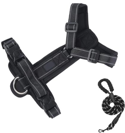 XFSRG Harnais Chien Anti Traction avec Laisse Harnais Réglable Réfléchissant Respirant avec Poignée de Contrôle Facile à Mettre pour Chiens Moyens et Grands （Noir M）