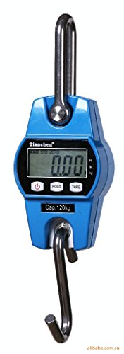 CGOLDENWALL Mini LCD bilancia da cucina bilancia bilancia da cucina ad alta precisione elettronica Bilancia da appendere digitale CE 120 kg (blu)