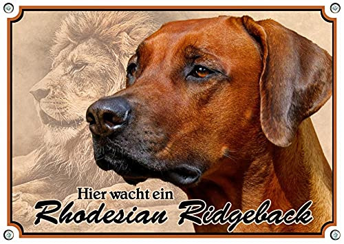 Petsigns Hundeschild Rhodesian Ridgeback - rostfreies uv-beständiges METALLSCHILD, DIN A4