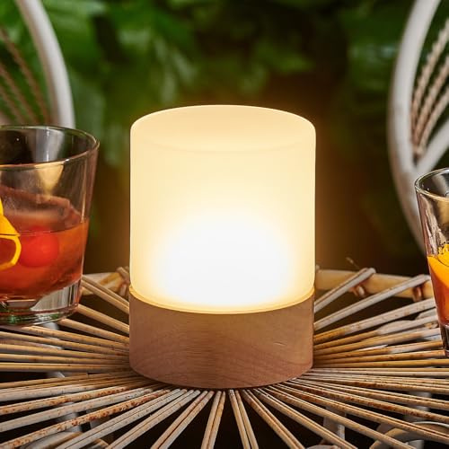 Auraglow Omniance Elara Rechargeable Table Lamp, Light Source and Remote