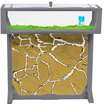 Anthouse.es - Kit Hormiguero en Forma de T - 3D Big - Sándwich y Caja de Forrajeo con Tapa Retirable - Hormiguero con Hormigas Vivas Incluidas - Hormiguero de 25x20x1,5 cm - Color Gris