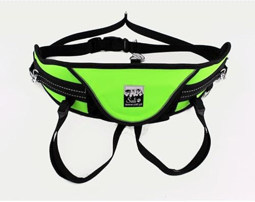Sali Relax Belt Grün Hüftgürtel Canicross Skijöring Dogtrekking