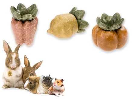Ferplast Natural Snack for Rodents, Hamsters, Guinea Pigs and Rabbits, Promotes Dental Hygiene, Stimulates Play and Offers Taste and Well-Being, Berry-shaped