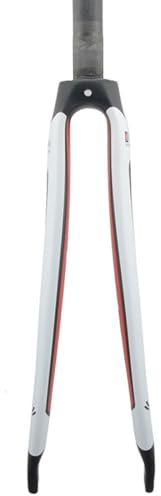 HIMALO 700C Rennrad-Gabel T800 Carbon Starre Gabel Gerade/konisch Gabelschaft Gewindelos C-Bremse Vorderradgabel QR 9 * 100mm (Color : Matte, Size : Straight)