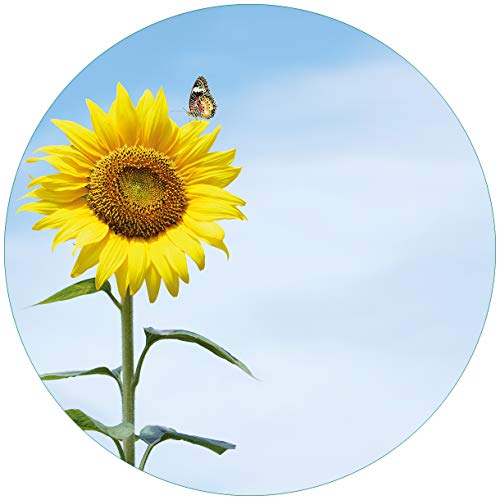 Wallario Glasbild rund Sonnenblume mit Schmetterling - Rund, 50 cm Durchmesser Wandbild Glas in Premium-Qualität: Brillante Farben, freischwebende Optik
