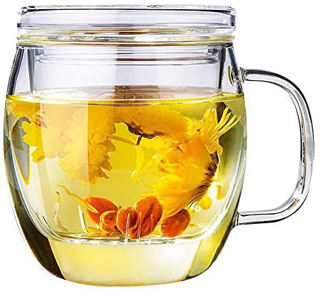 Bunhut Glass Tea Cup with Infuser and Lid,500ml (17oz) Borosilicate Glass Tea Mugs for Loose Leaf Tea,Glass Tea Cups with Filter for Black Tea,Great Loose Tea-leaf Brewing System