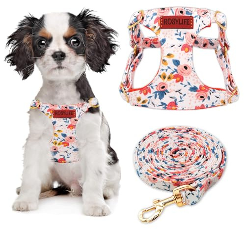 RosyLife No Pull Dog Harness & Leash Set, Adjustable XX-Small, Orange Rose, Cute & Stylish, Escape Proof, Includes Leash