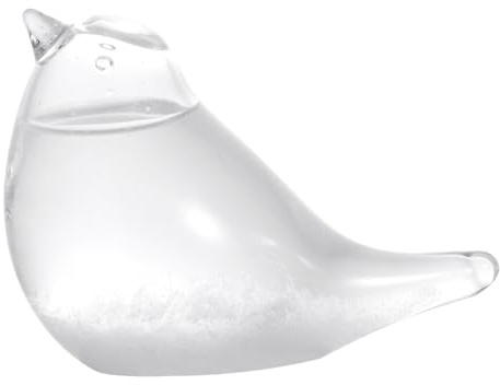 Ciieeo Storm Glass Weather Barometer Tabletop Bird Decor Glass Ornament Home Office Desktop Weather Forecaster
