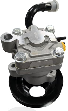 Advantage Auto Parts Compatible with Rio II Power Steering Pump 2005-2011
