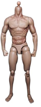 1/6 Männlicher Körper,12'' Flexibel Muskulatur Action Figur Puppen für 1:6 Maßstab Kopf Skulptur