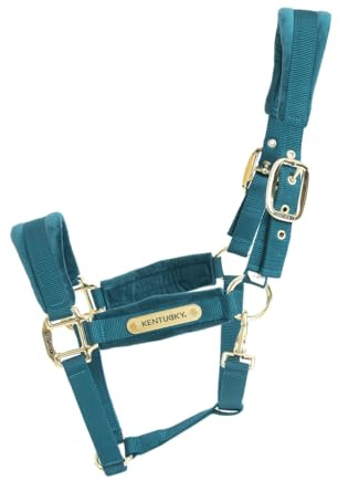 Kentucky - Halfter Mini SHETTY - Emerald - Samt