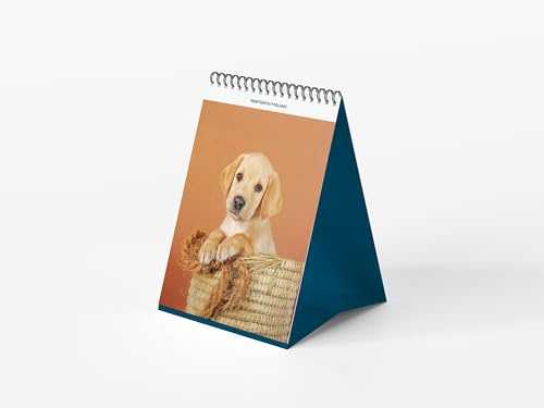 Calendrier de table 2026 personnalisable avec photo | Format 12 x 15 cm avec spirale | Planning mensuel | Convient pour le bureau, la maison | différents thèmes animaux et nature | Signets inclus |