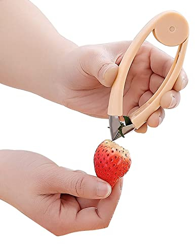 Décortiqueur de Fraises en Forme de V, Coupe-ananas en Acier Inoxydable pour les Yeux d'ananas et la Tige de Légumes-fruits (Orange)