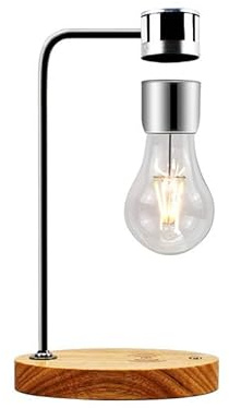 DIDWI Magnetic Levitating Light Bulb Lamp, Floating LED Bulb Desk Lamp with Wireless Charger, Rotating Levitating Bulb Night Lights for Room Office Decoration (Silver)