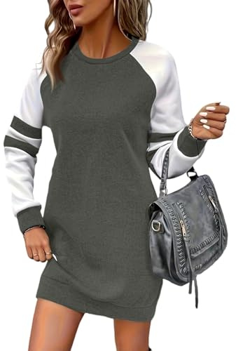 ZRYAZQ Sweatkleid Damen Langarm Ohne Kapuze Pulloverkleid Damen Oversize Elegant Winterkleid Kurz Farbblock Sweatshirtkleid Winter Herbstkleid Kurz Sweatshirt Kleider Longpullover Lässig Pullikleid