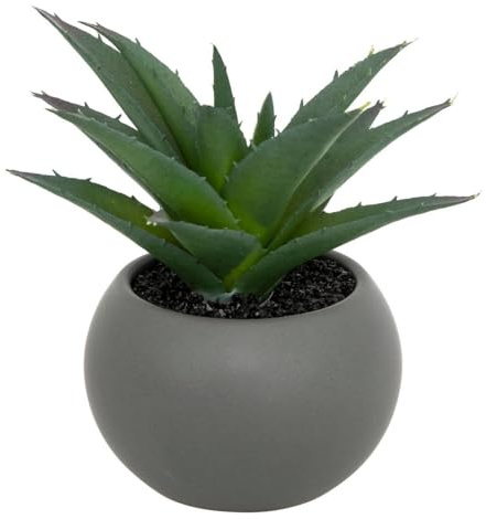 Atmosphera - Plante grasse en pot H13