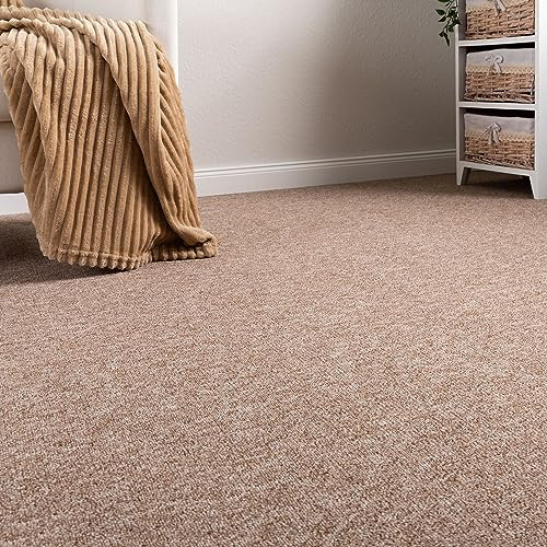 Steffensmeier Schlingen Teppichboden Meddon XL Meterware | Auslegware für Flur Büro | 1m 2m 3m 4m 5m breit! | Beige, Größe: 200x600 cm