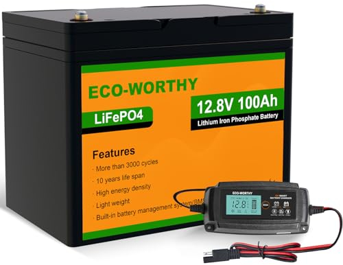 ECO-WORTHY 12.8V 100Ah LiFePO4 Akku mit 5A Ladegeräte,LiFePO4 100AH mit BMS Low Temperature Schutz und 3000 Mal Tiefzyklen für Solaranlage, Wohnmobil,Boot,Haushalt, Solarpanel,Camping