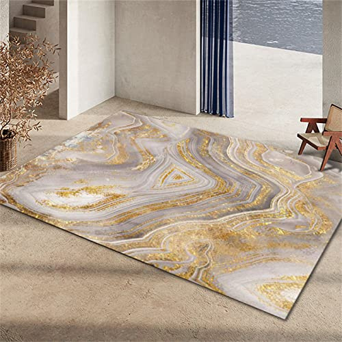 Tappeti Camera Da Letto 3 Pezzi 130 x 190 cm Tappeto Sala grigio Tappeto Per Esterno Terrazzo Elegante Tappeto In Velluto Grigio Oro Accessori Per Il Soggiorno Moderno Tappeto Interattivo Bambini