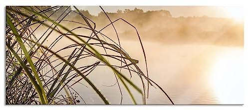Pixxprint Glasbild Panorama, Wandbild aus Echtglas, Schilf am See, 120x50 cm, inkl. Aufhängung und Abstandshalter