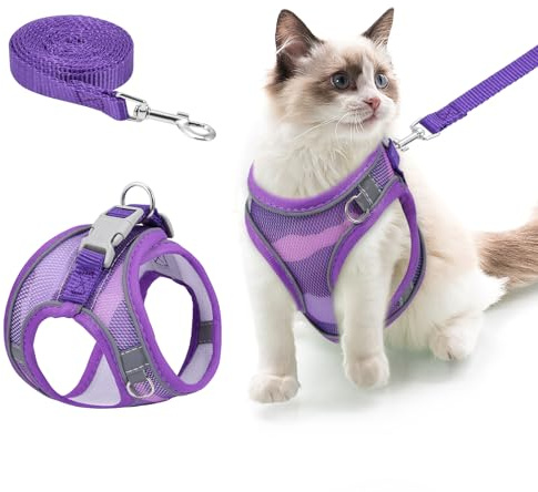 Brifit Katzengeschirr mit Leine Ausbruchsiche, Katzengeschirr Katzenleine mit Reflektierend Streifen & Atmungsaktiv Netzgewebe, Verstellbares Katze Softgeschirr [Lila XS] für Gewicht: 2.5-4.5kg