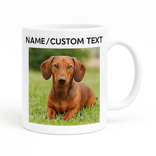 Taza personalizada con foto y texto de tu mascota - Regalo con foto personalizada, taza de perro, taza de cerámica personalizada con gato, taza de café - 330 ml