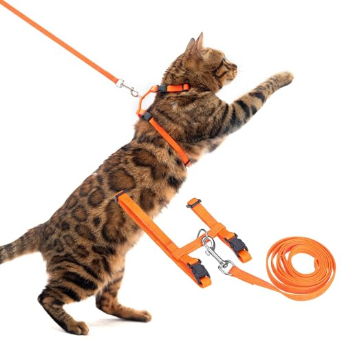 PUPTECK Adjustable Cat Harness and Leash Set Escape Proof Kitten Strap Collar for Walking Travel, Orange