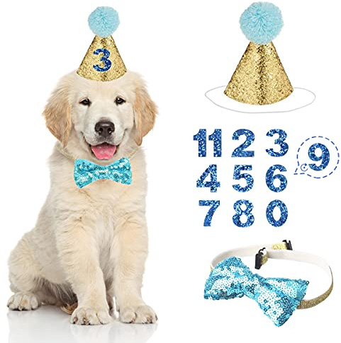 Hunde-Geburtstagshut, Partyhut-Set, mit Fliege und Halsband und blauer Nummer für Haustier, Welpen, Katze, Geburtstagsdekoration, Haustierkostüme, Kopfbedeckung, Zubehör, 3 Stück (blau)