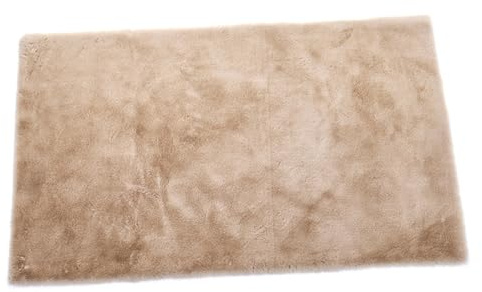 Cooalinar Descente De Lit,Petit Tapis,Tapis Doux,Tapis Chambre Modernes,Tapis Shaggy,Dessous AntidéRapant,Moelleux éPais,Pelucheux,Facile d'entretien,pour DéCoration D'IntéRieur Salon Couloir