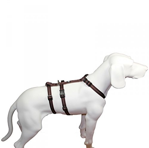Hoffmann Das Original - NoExit Hundegeschirr ® - 100% ausbruchsicher für Angsthunde, Sicherheitsgeschirr für Pflegehunde, Panikgeschirr, braun Streifen, Bauchumfang 60-80 cm, 25 mm Bandbreite