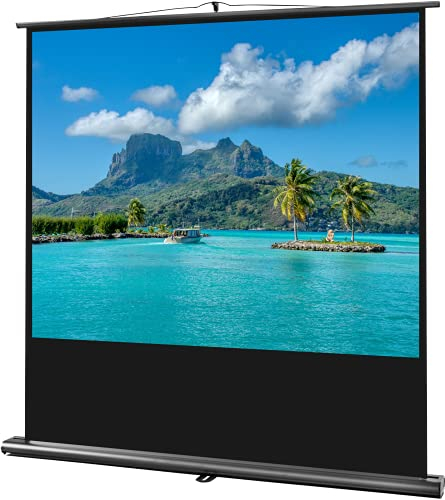 celexon Ultramobil Professional Pull-Up-Leinwand 55 | 120x90 cm 4:3 | transportable 4K, Full-HD Beamer-Leinwand zum blitzschnellen Ausziehen & Aufstellen | inkl. Tragegriff + Teleskopstange