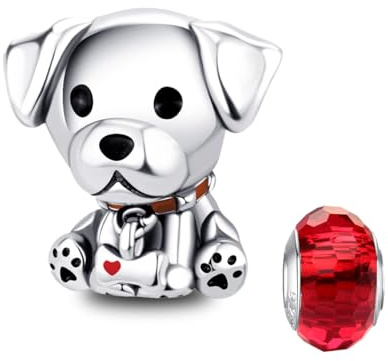 LNQOBU Silber 925 Charms Anhänger für Armbänder Kompatibel mit Pandora Europäischen Armbändern und Halskette （Mit Spacer Beads）