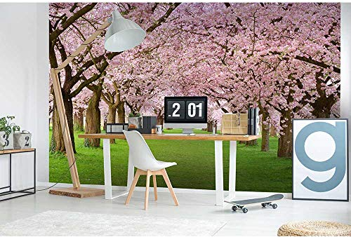 Fotomural CEREZOS 375 x 250 cm | Papel Pintado Fotográfico - tejido no tejido | CALIDAD PREMIUM - HECHO EN LA UE - Incluye pegamento para papel tapiz