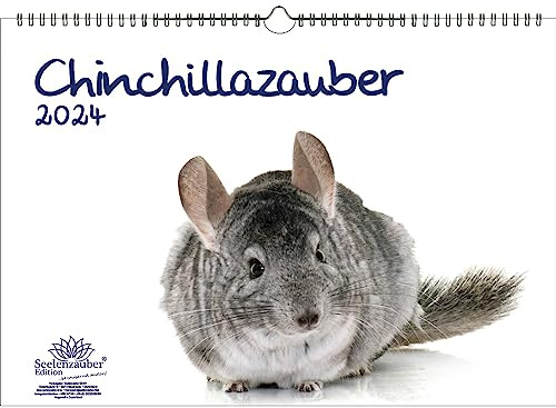 Chinchillazauber DIN A3 Kalender für 2024 Chinchilla - Seelenzauber