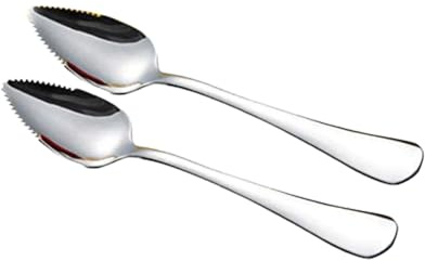 2Pcs Grapefruit Spoon Stainless Steel Fruit Spoon, Stainless Steel Spoon, Serrated Edge Ice Cream Scrape Cut Spoons For Fruit Dessert Cheese Vegetables