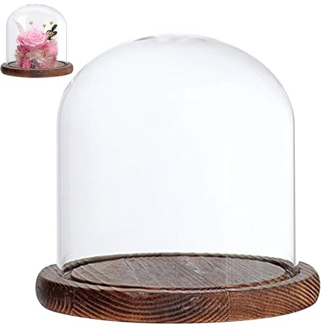 Hintyne glasklocka med bas transparent 3, 5 x 4, 7 tum dammtät retro glasklocka för hem bord café för konstgjorda blommor dockor och figurer