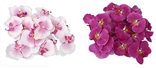 Gazechimp 40x Kunstblumen Orchidee Blumen Köpfe , Schmetterlingsorchidee Blüten Blumenköpfe Hochzeit Dekoration