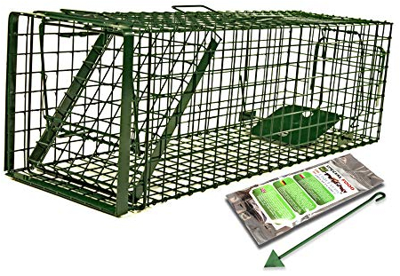 Holtaz Fallen Hardy Grün 140x34x42 cm 1 Tür Marderfalle Katzenfalle Fuchsfalle Biberfalle Tierfalle Kastenfalle Drahtfalle Waschbärfalle Mit Extra Köder