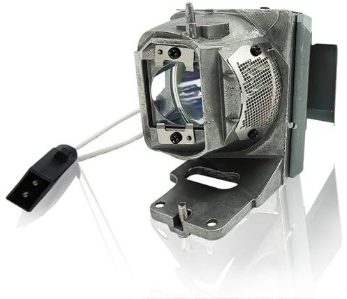 Supermait BL-FU245A Ampoule de rechange pour projecteur avec boîtier Compatible Optoma EH412 EH412ST HD29HST HD29HLV
