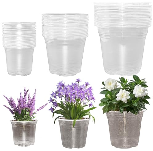 Huucozn 45 PCS Macetas Transparentes para Orquídeas - 3 Tamaños (5/13cm, 6/15cm, 7/18cm) Macetas para Orquídeas con Agujeros, Maceta de Plástico Transparentes Reutilizable para Plantas