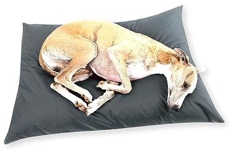 4L Textil ZOE Hundekissen wasserfest mit Bezug Hundebett wasserabweisend Hundekissen große Hunde waschbares Hundebett große Hunde (100x80 cm, Graphit)