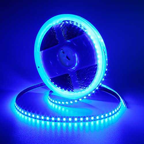 GOMING 10M 24V Striscia LED Blu Flessibile Alta Densità 1200 LEDs | Alta Luminosità Non Impermeabile IP20 Nastri LED per Decorazione Interna(Alimentazione non Inclusa)